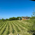 Bohemian Eco At Balaton * Kisapati
