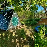 Bohemian Eco At Balaton Daire Kisapati