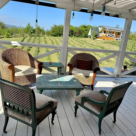 Bohemian Eco At Balaton *