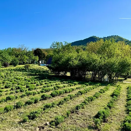 Bohemian Eco At Balaton Appartement Kisapati
