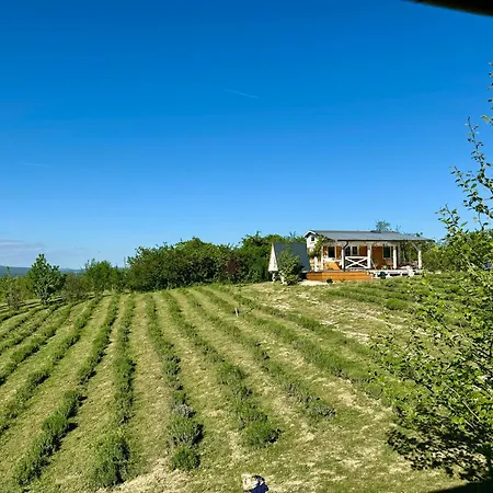 Bohemian Eco át Balaton * Kisapáti
