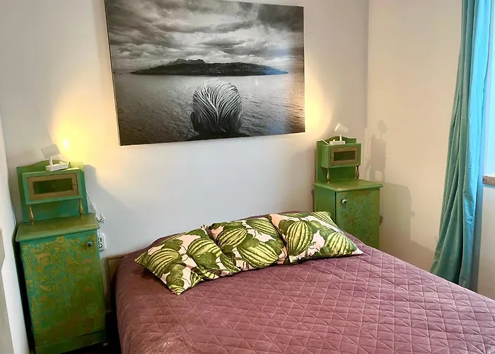 Bohemian Eco át Balaton *