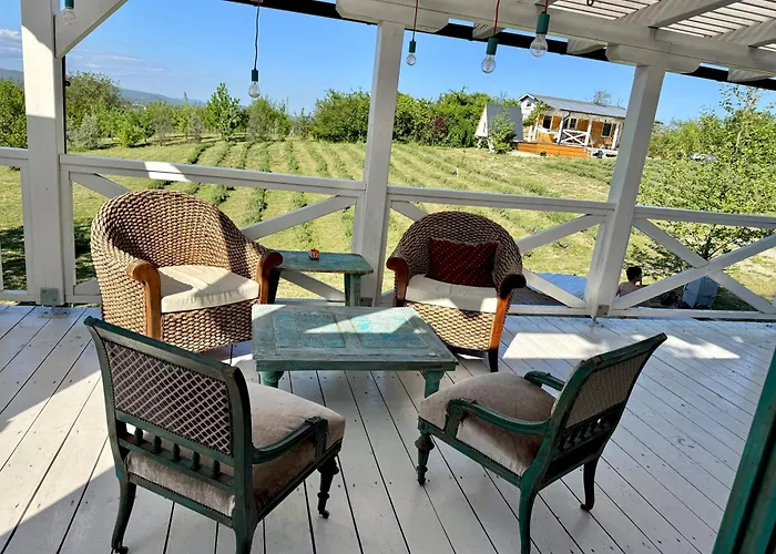 Bohemian Eco át Balaton *