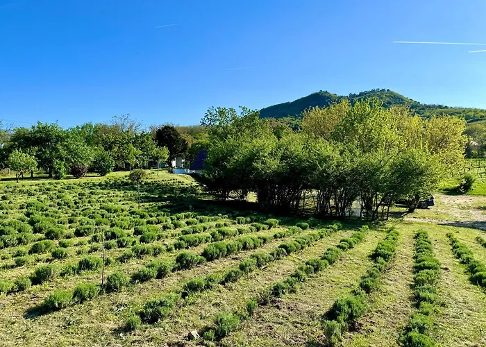 Bohemian Eco At Balaton Appartement Kisapati