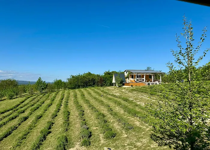 Bohemian Eco át Balaton * Kisapáti